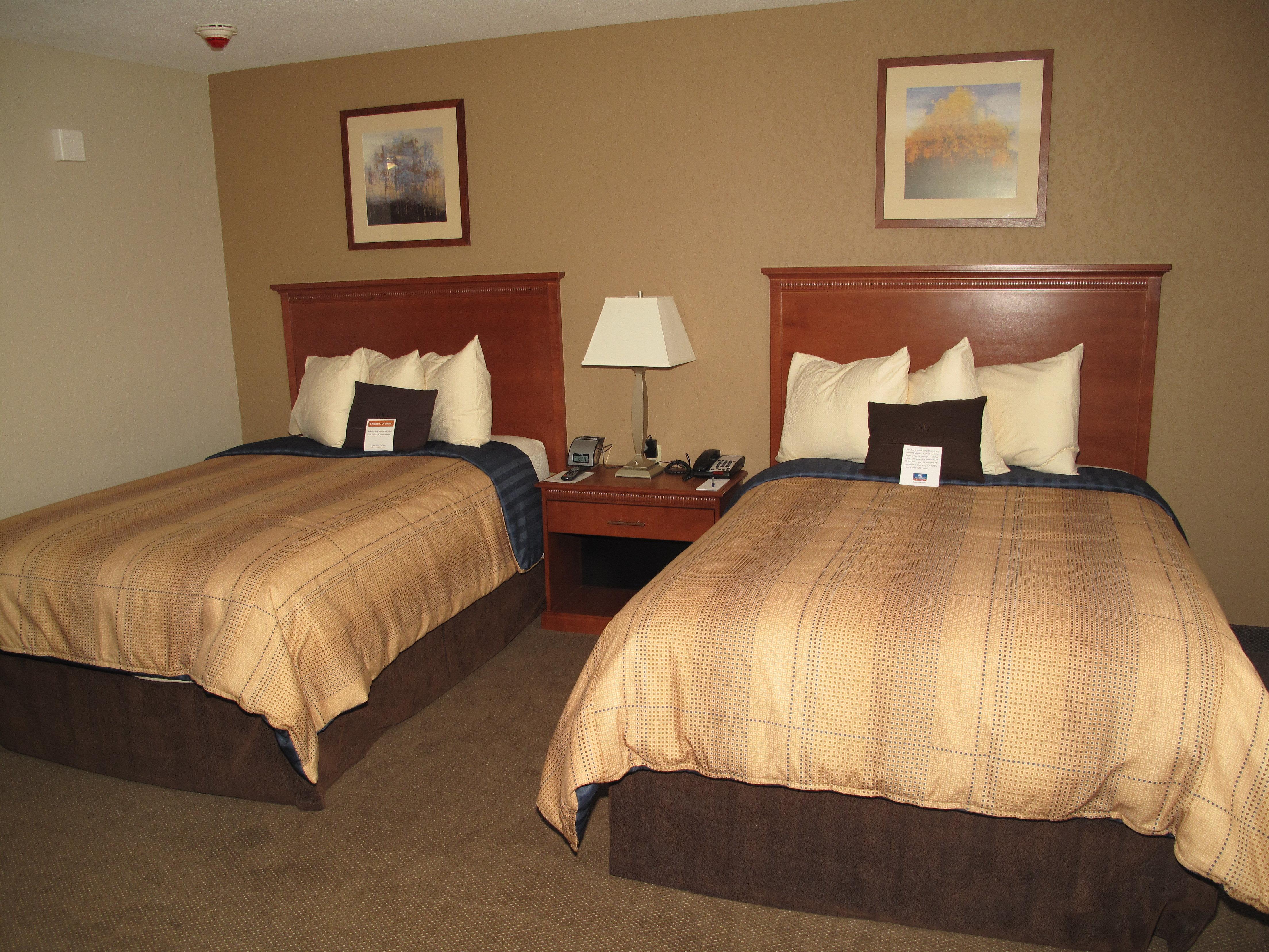 Candlewood Suites Elgin - Northwest Chicago By Ihg Rum bild
